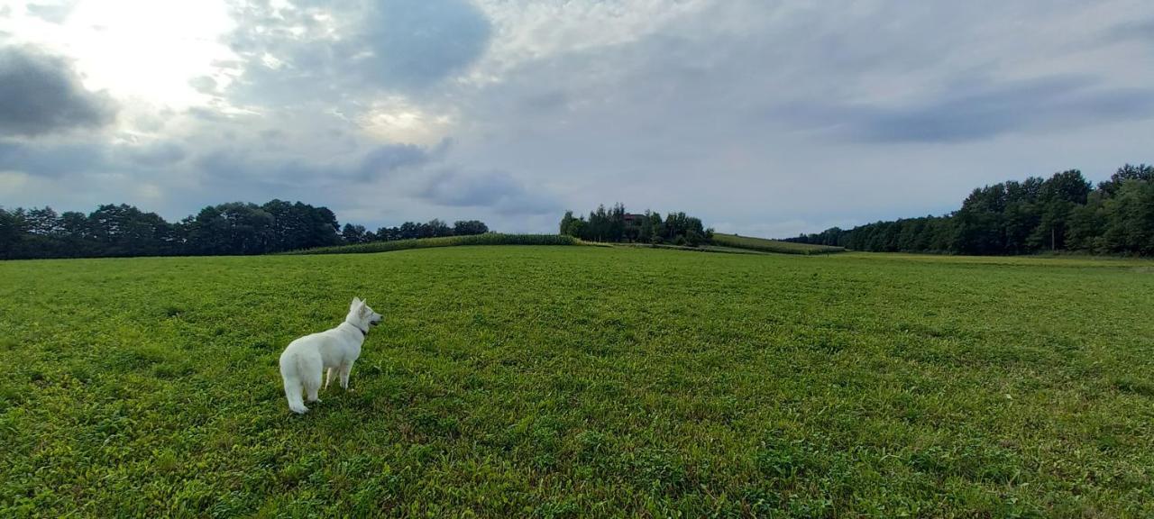 Dom Goscinny Lerka - 240 M2 Mazury Jeziora Lasy Lakorz Екстериор снимка