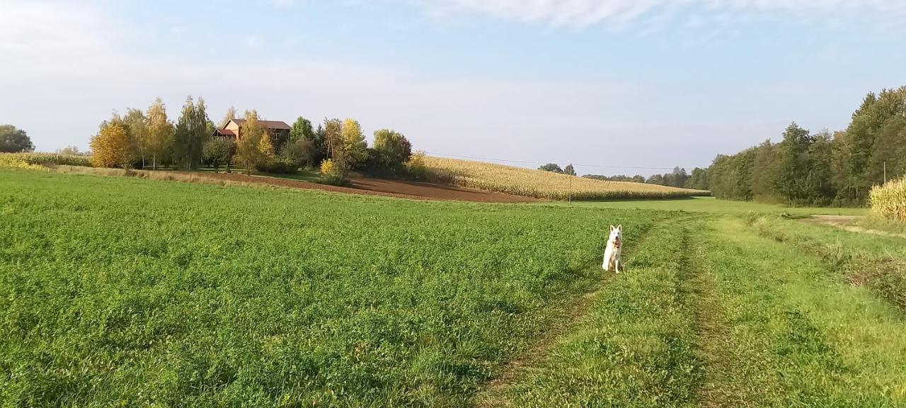 Dom Goscinny Lerka - 240 M2 Mazury Jeziora Lasy Lakorz Екстериор снимка