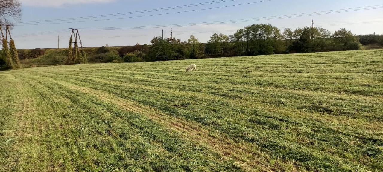Dom Goscinny Lerka - 240 M2 Mazury Jeziora Lasy Lakorz Екстериор снимка